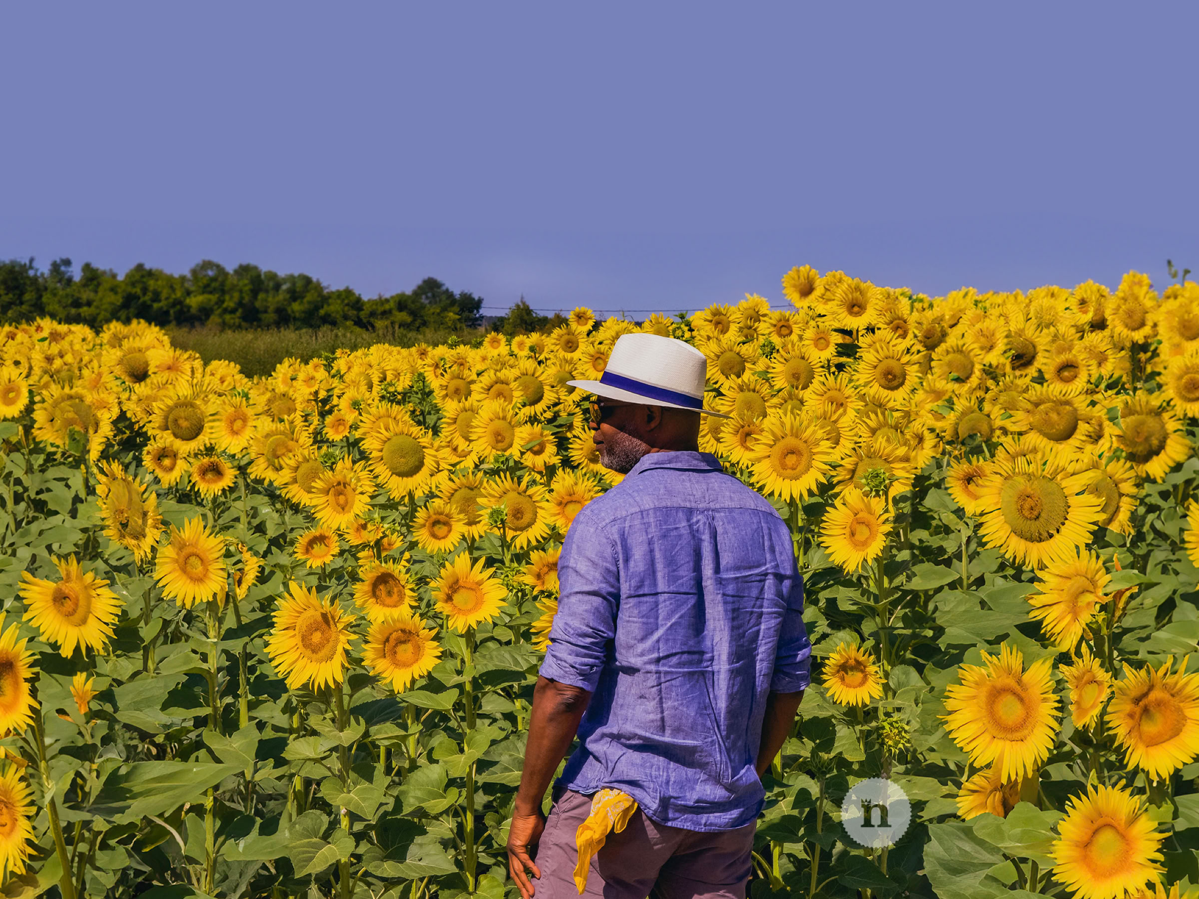 Immobilien Fotografie, Noldy Visuals