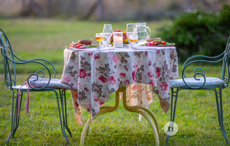 Ein Tisch mit einer geblümten Tischdecke, gedeckt für zwei Personen mit Gläsern, Tellern und Besteck, steht auf einer Wiese zwischen zwei Stühlen.